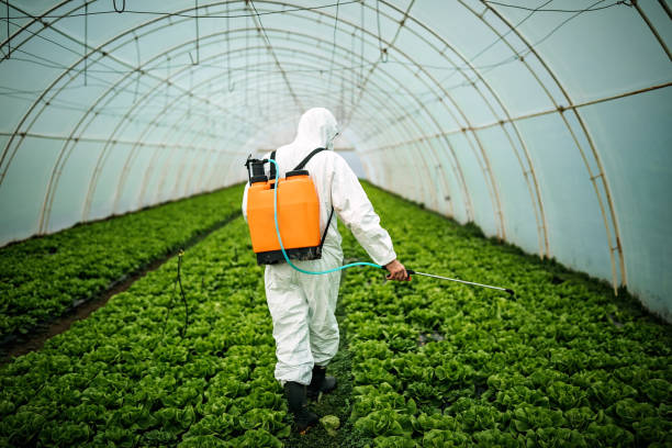 Best Commercial Pest Control Services  in Hasbrouck Heights, NJ