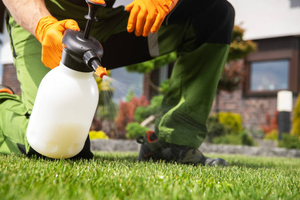 Best Best Pest Control Companies  in Hasbrouck Heights, NJ