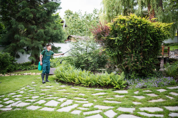 Best Wasp Removal Services  in Hasbrouck Heights, NJ