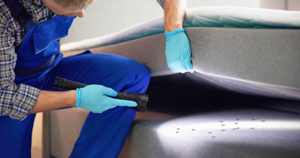 Best Termite Control Services  in Hasbrouck Heights, NJ