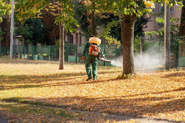 Best Wasp Removal Services  in Hasbrouck Heights, NJ