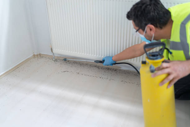 Best Bed Bug Extermination  in Hasbrouck Heights, NJ